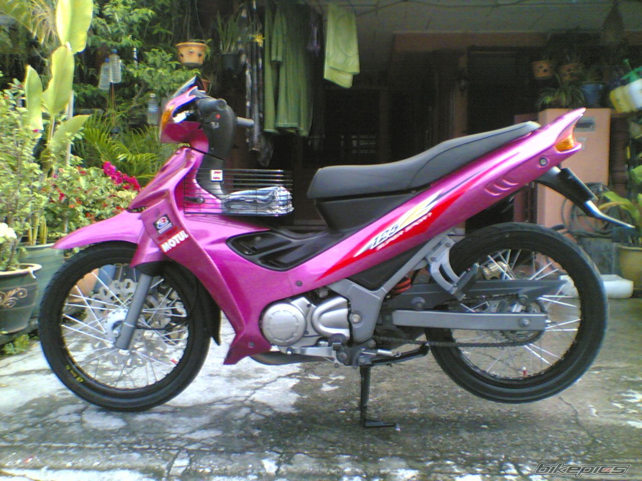 Photo 1493504