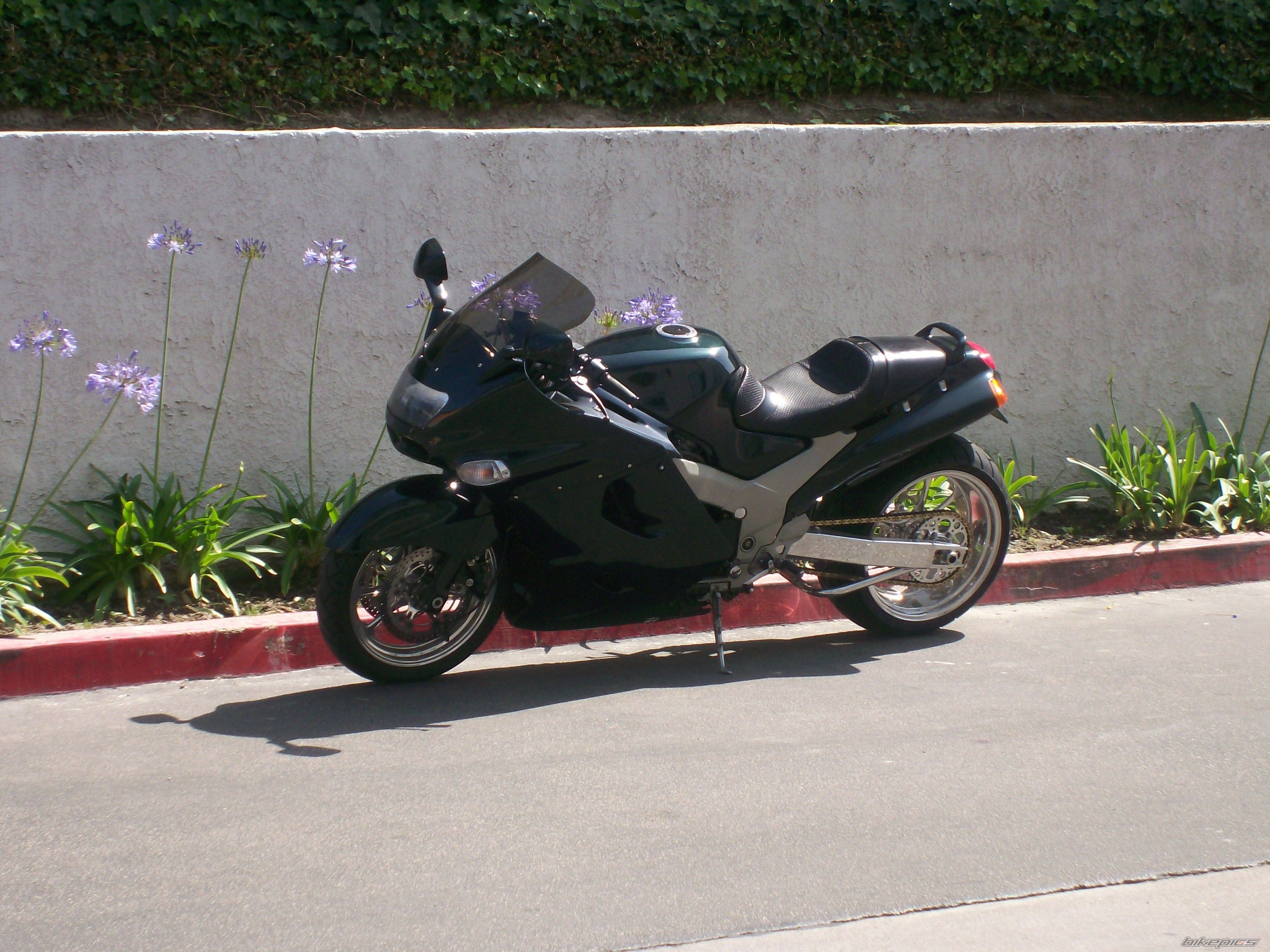 Photo 1493543