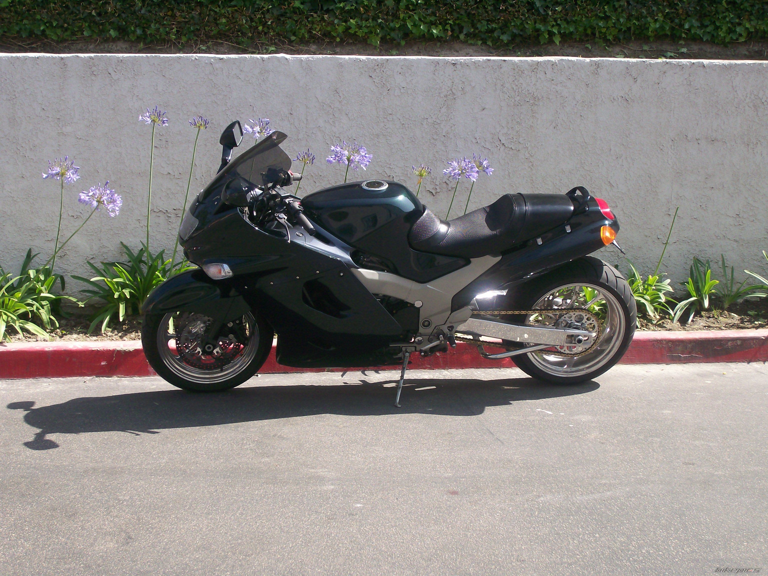 Photo 1493545