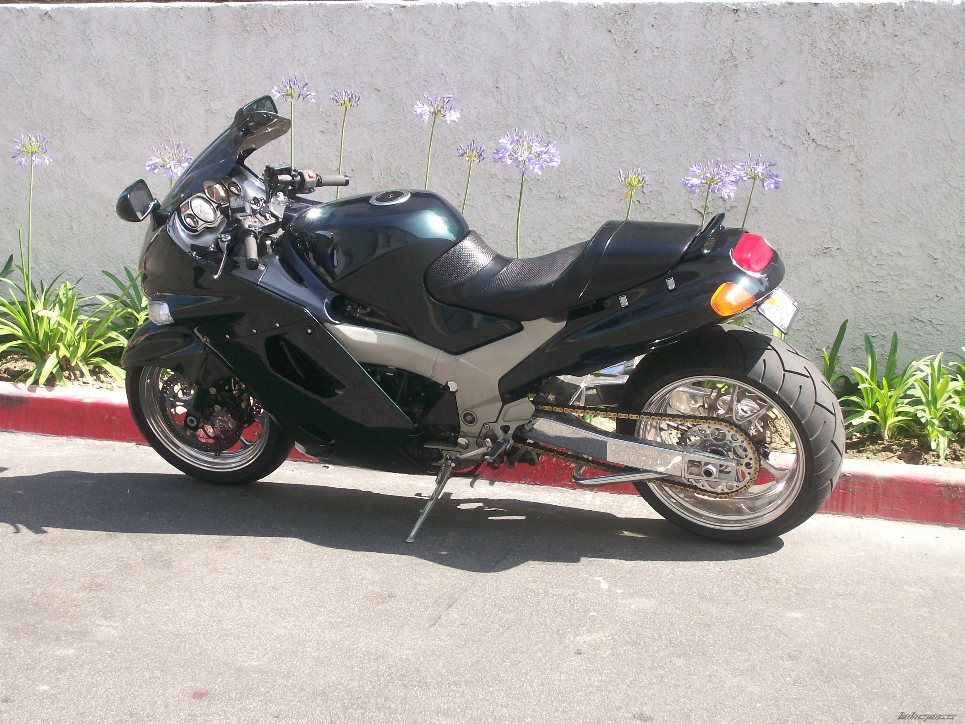 Photo 1493547