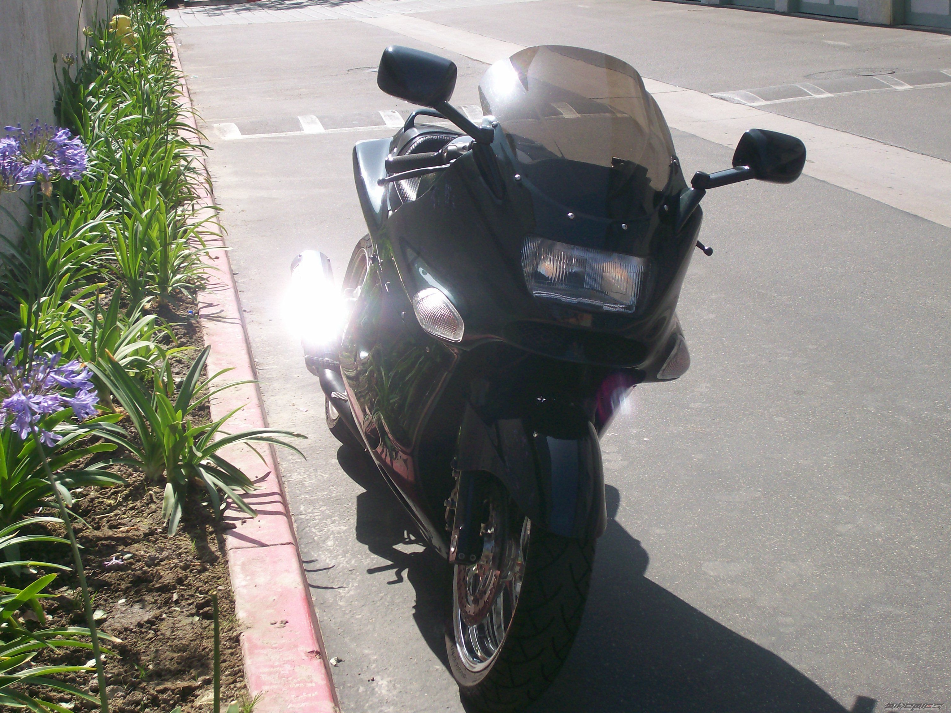 Photo 1493549