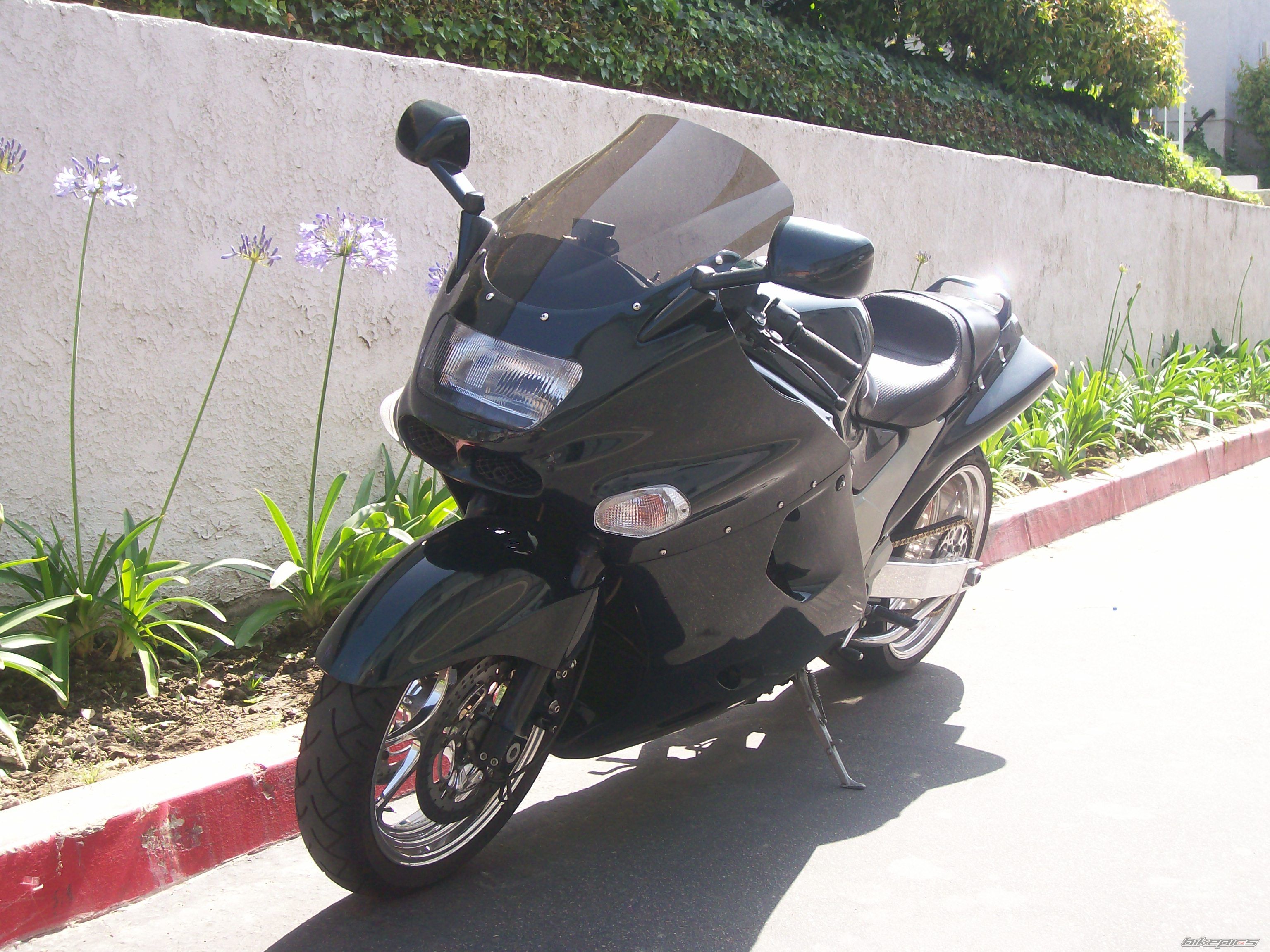 Photo 1493551