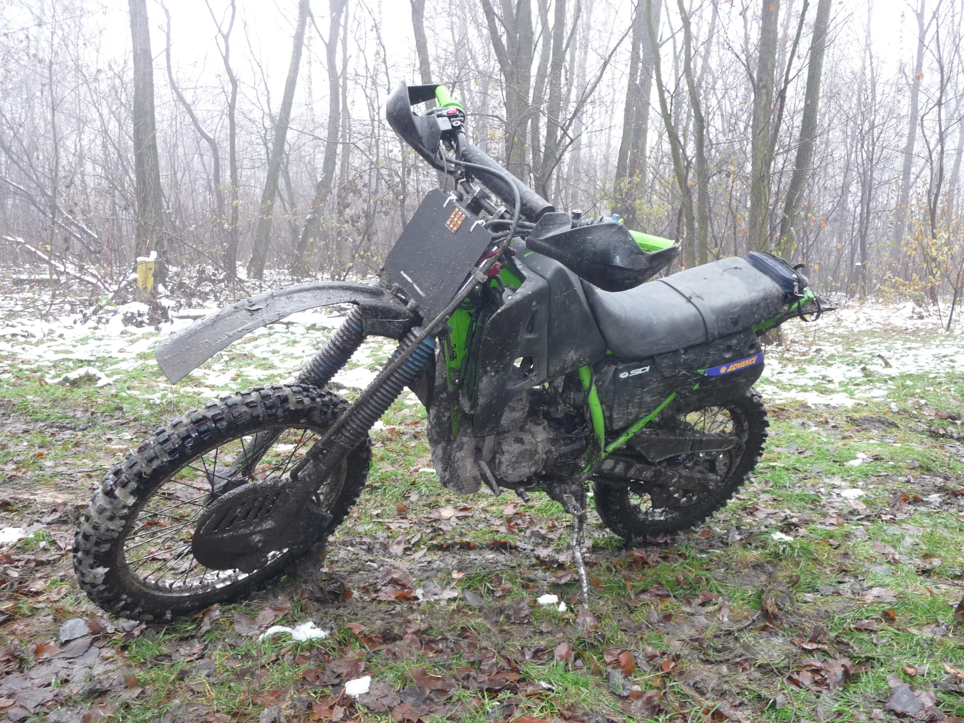Photo 1493765