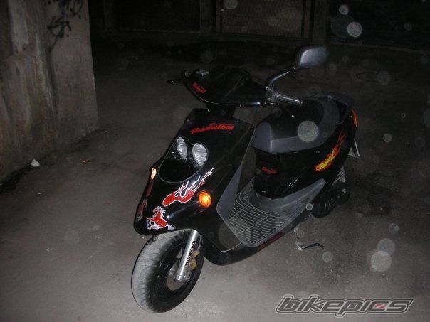 Photo 1493838
