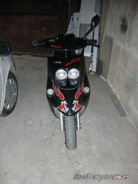 Photo 1493839