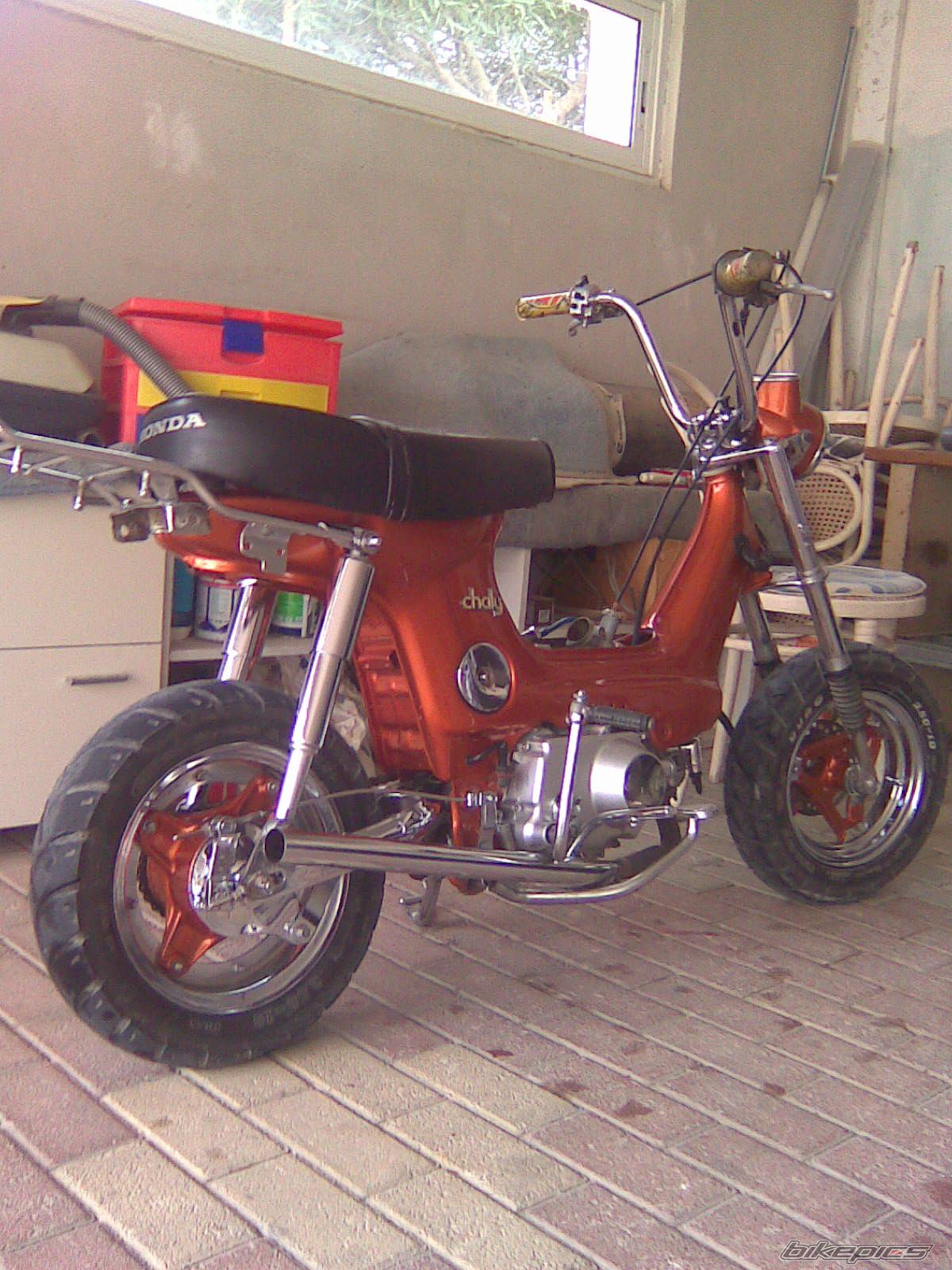 Photo 1493853