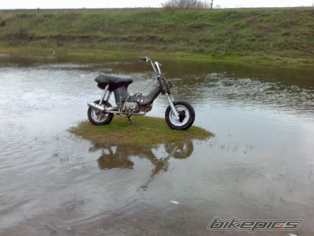 Photo 1494040