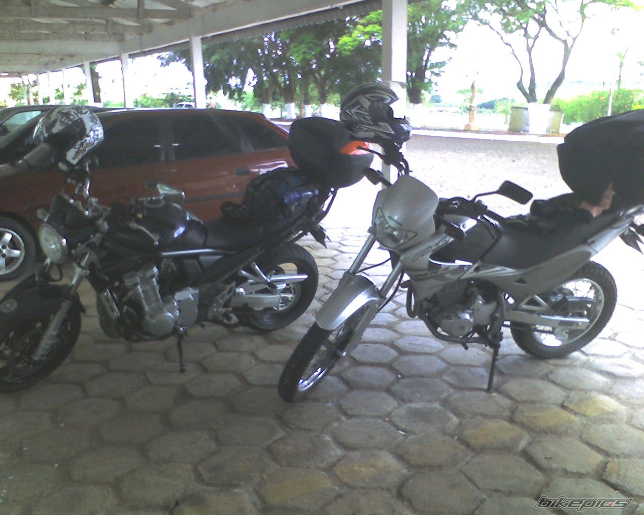 Photo 1494049