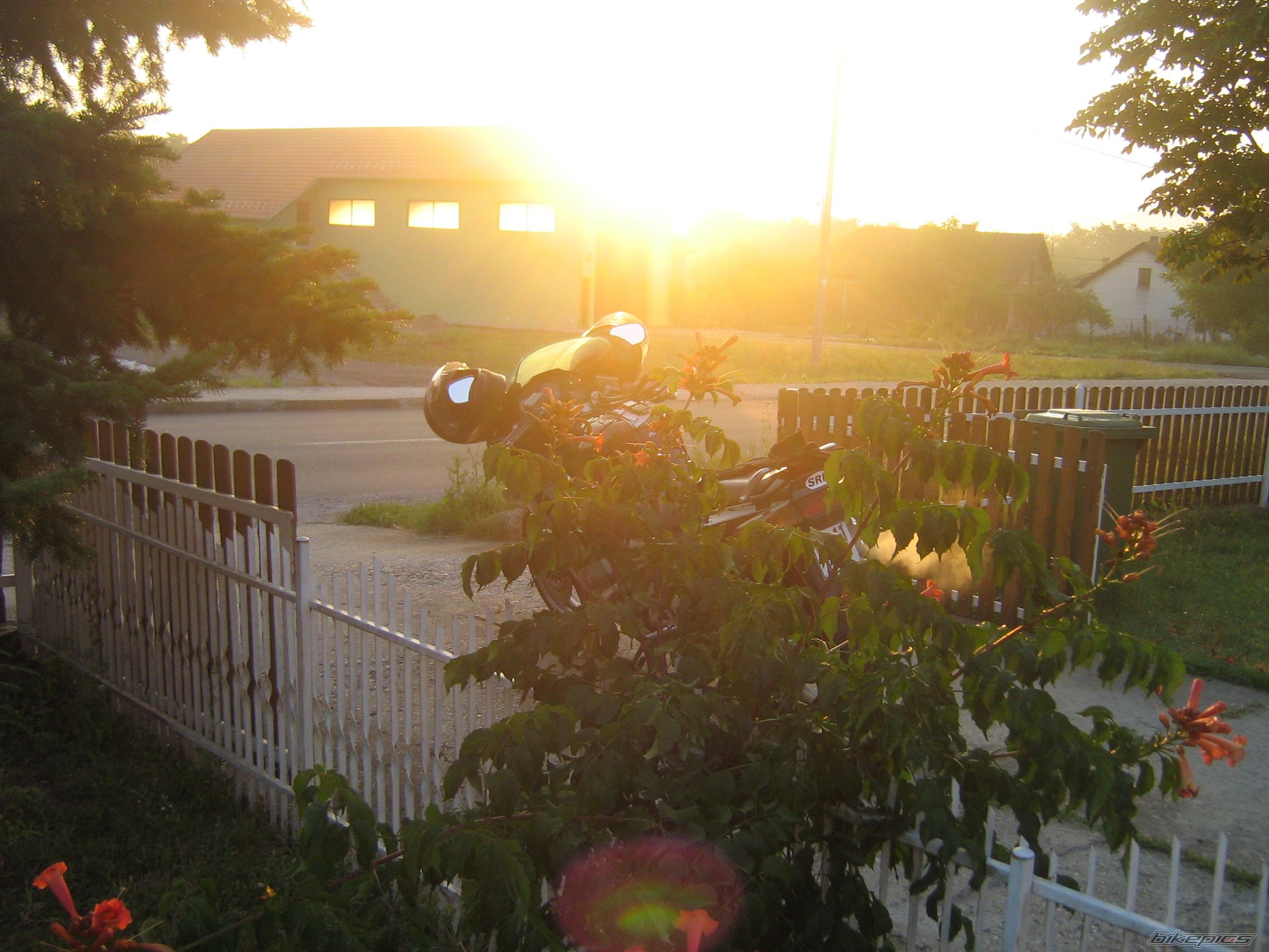 Photo 1494122