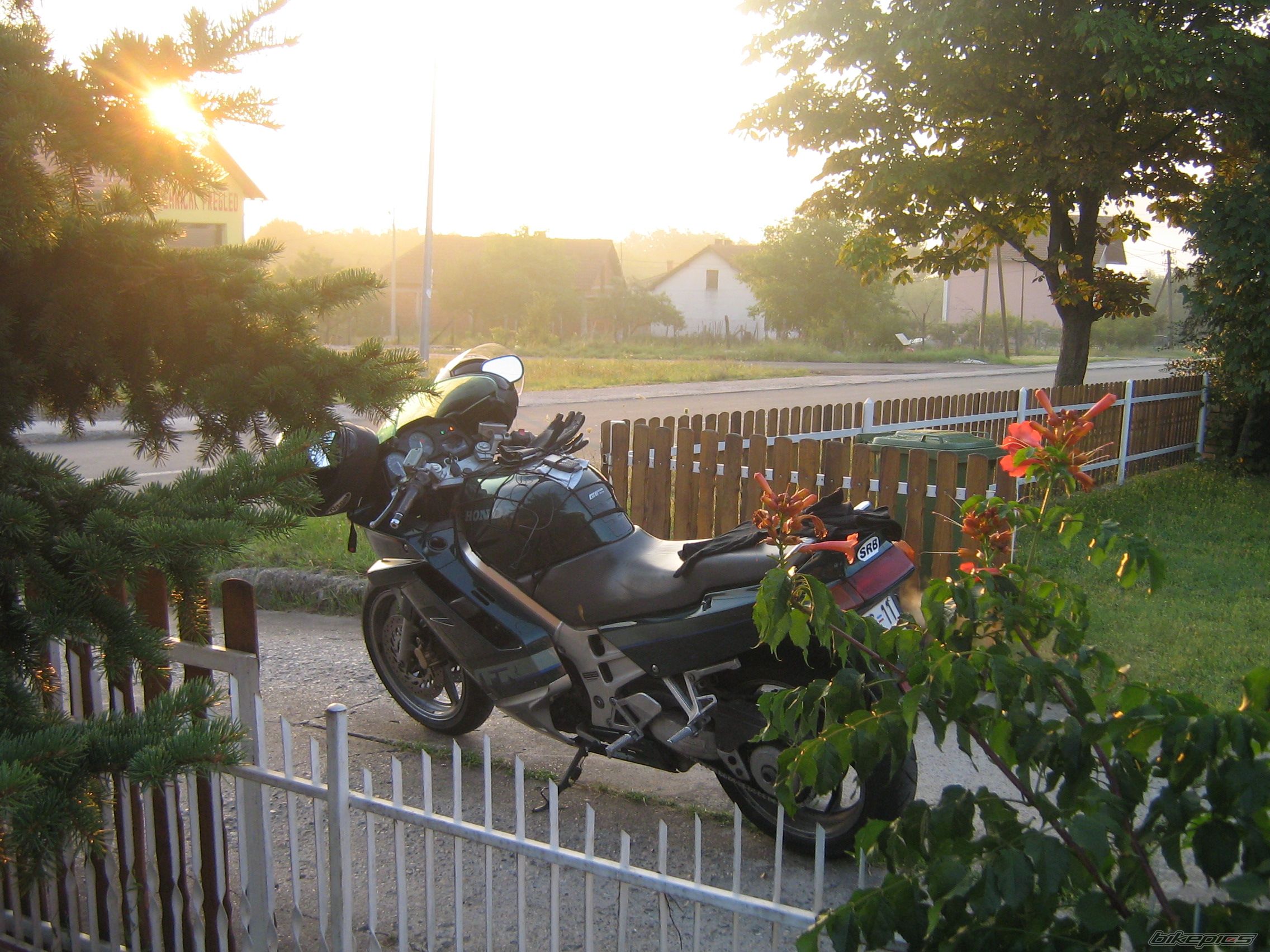Photo 1494131