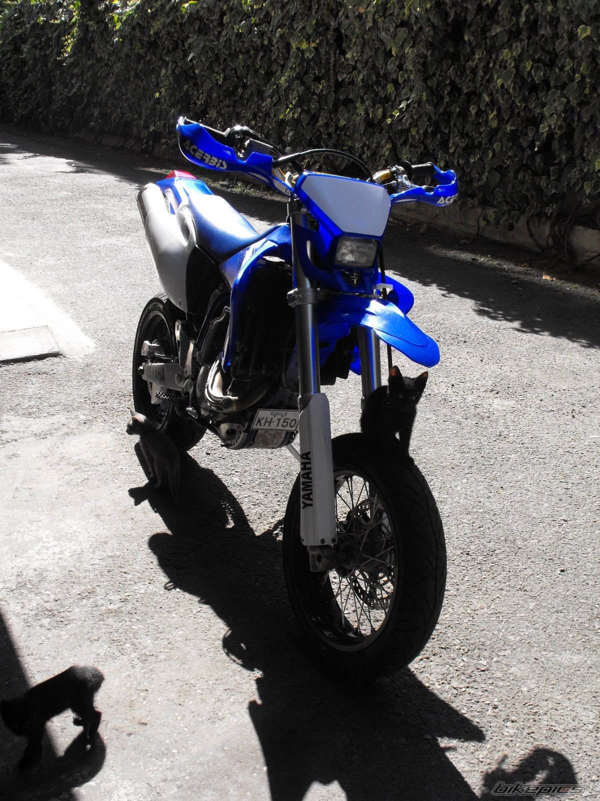 Photo 1494193