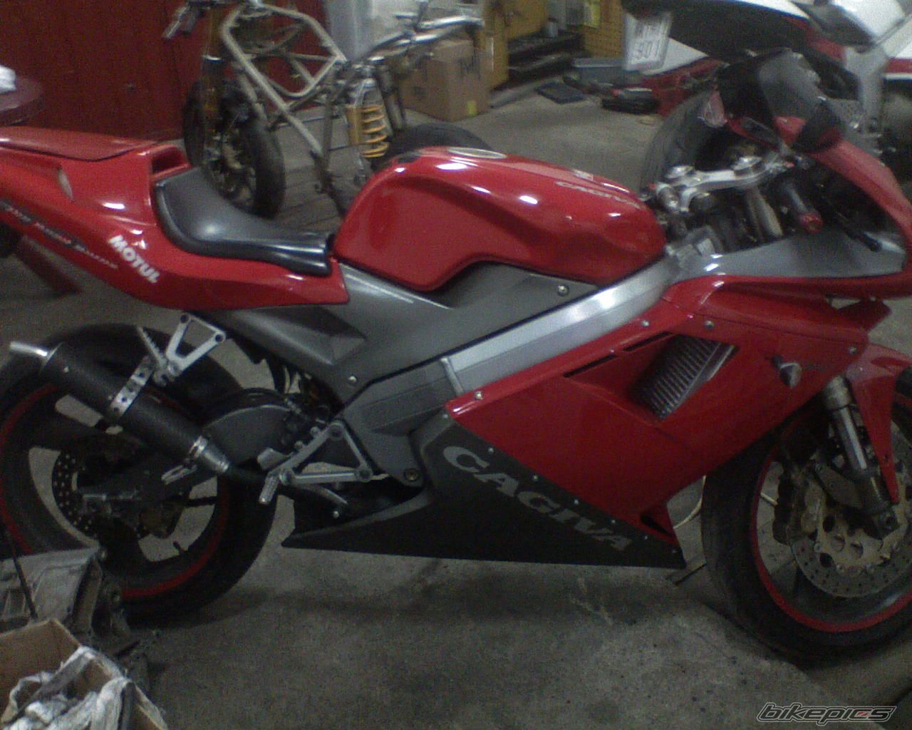 Photo 1494203