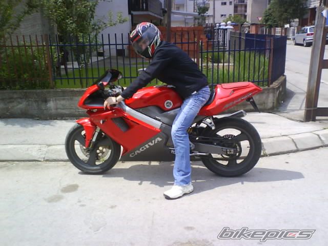 Photo 1494208