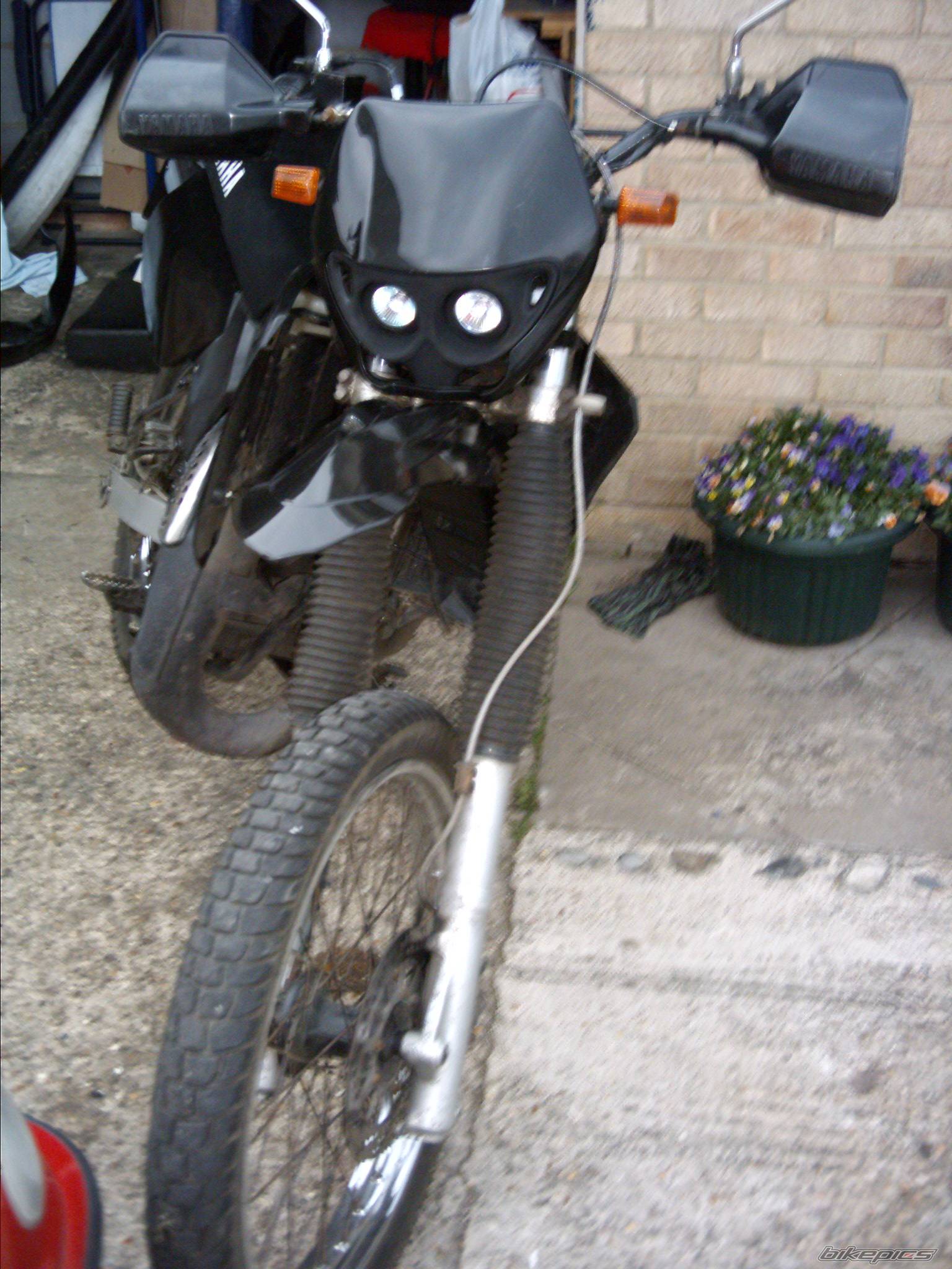 Photo 149432