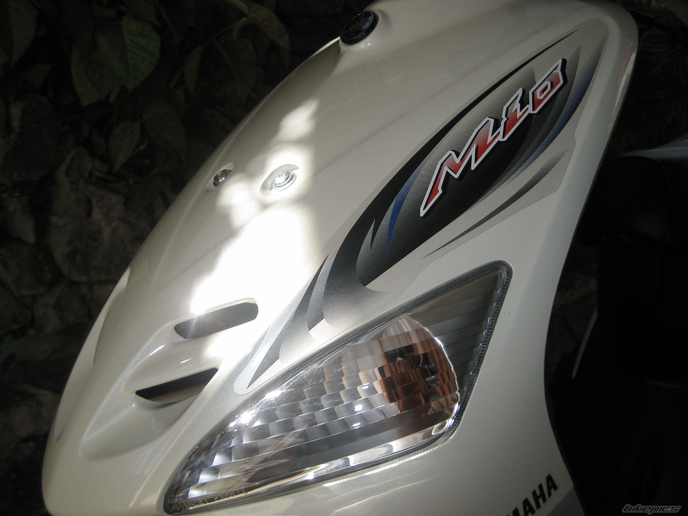 Photo 1494338
