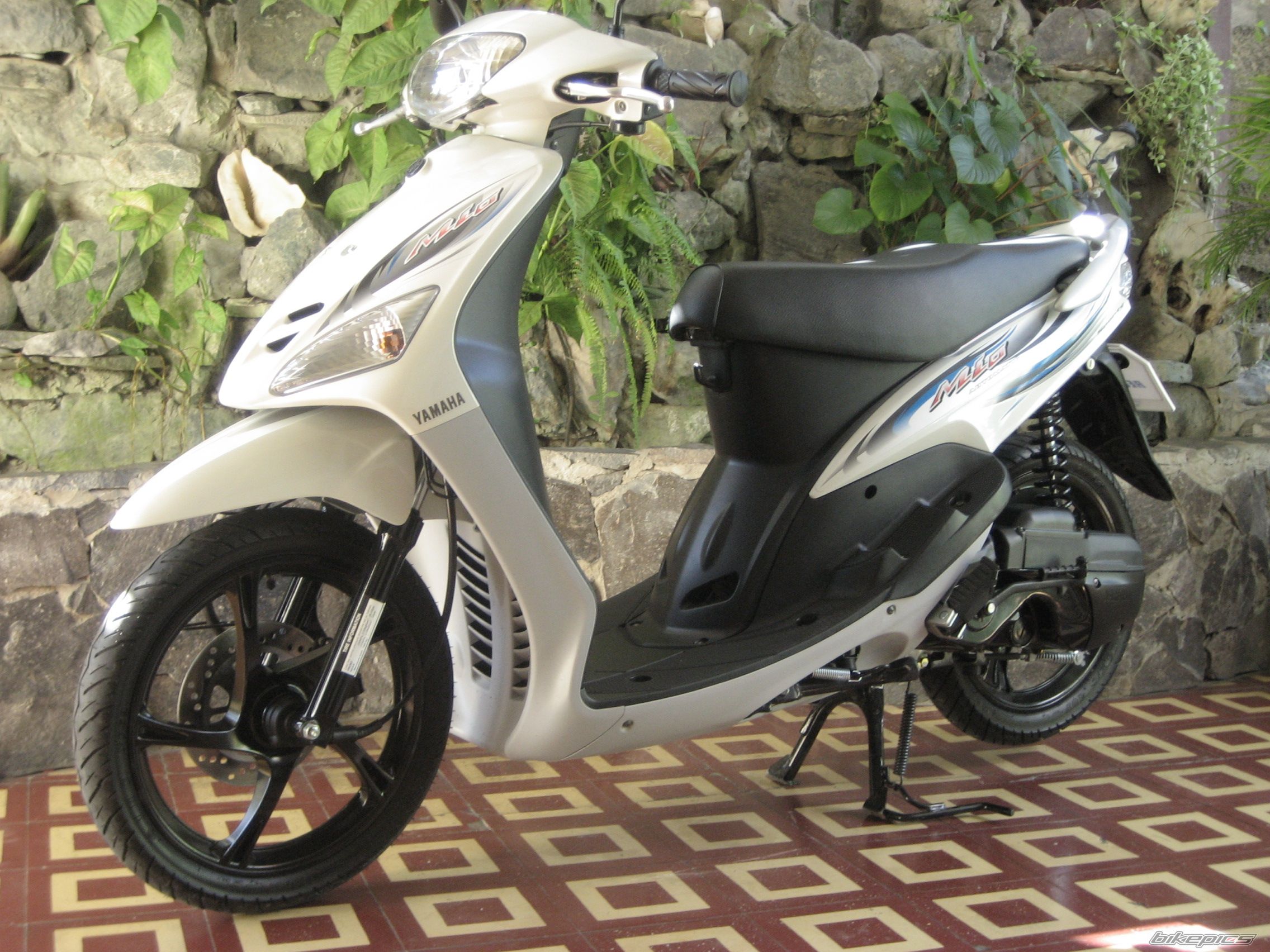 Photo 1494340