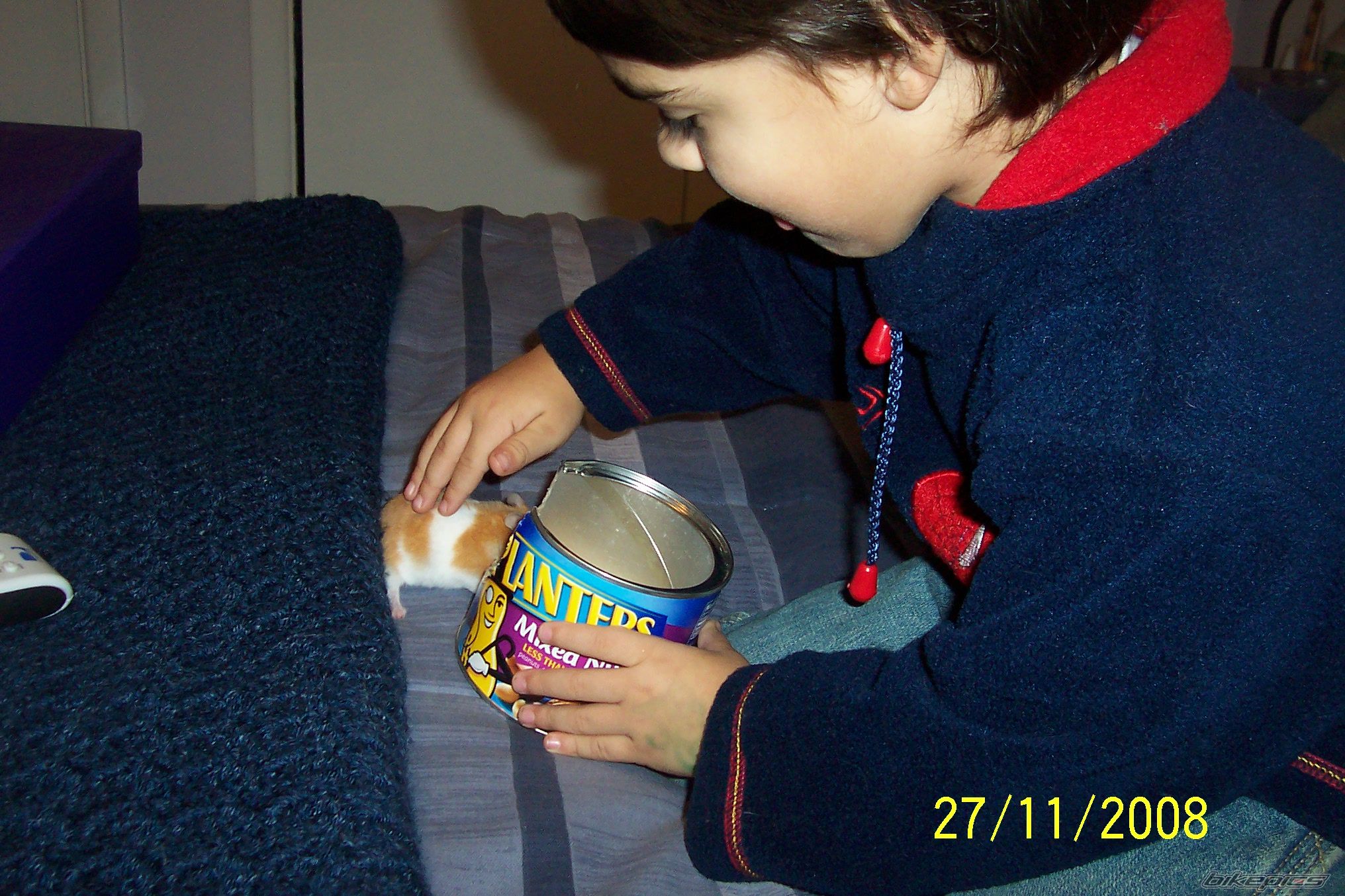 Photo 1494392