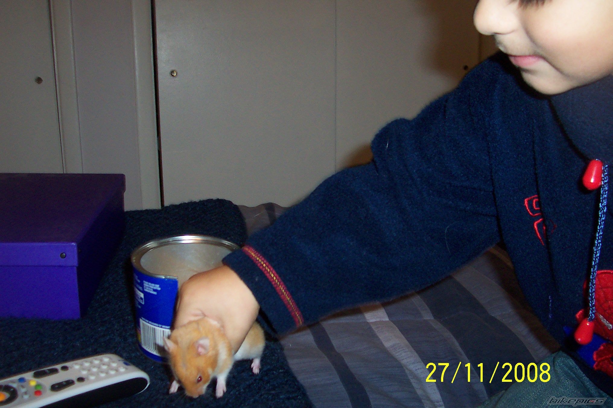 Photo 1494395