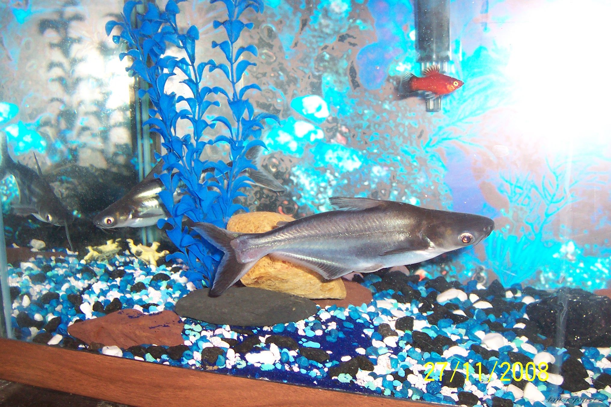 Photo 1494398