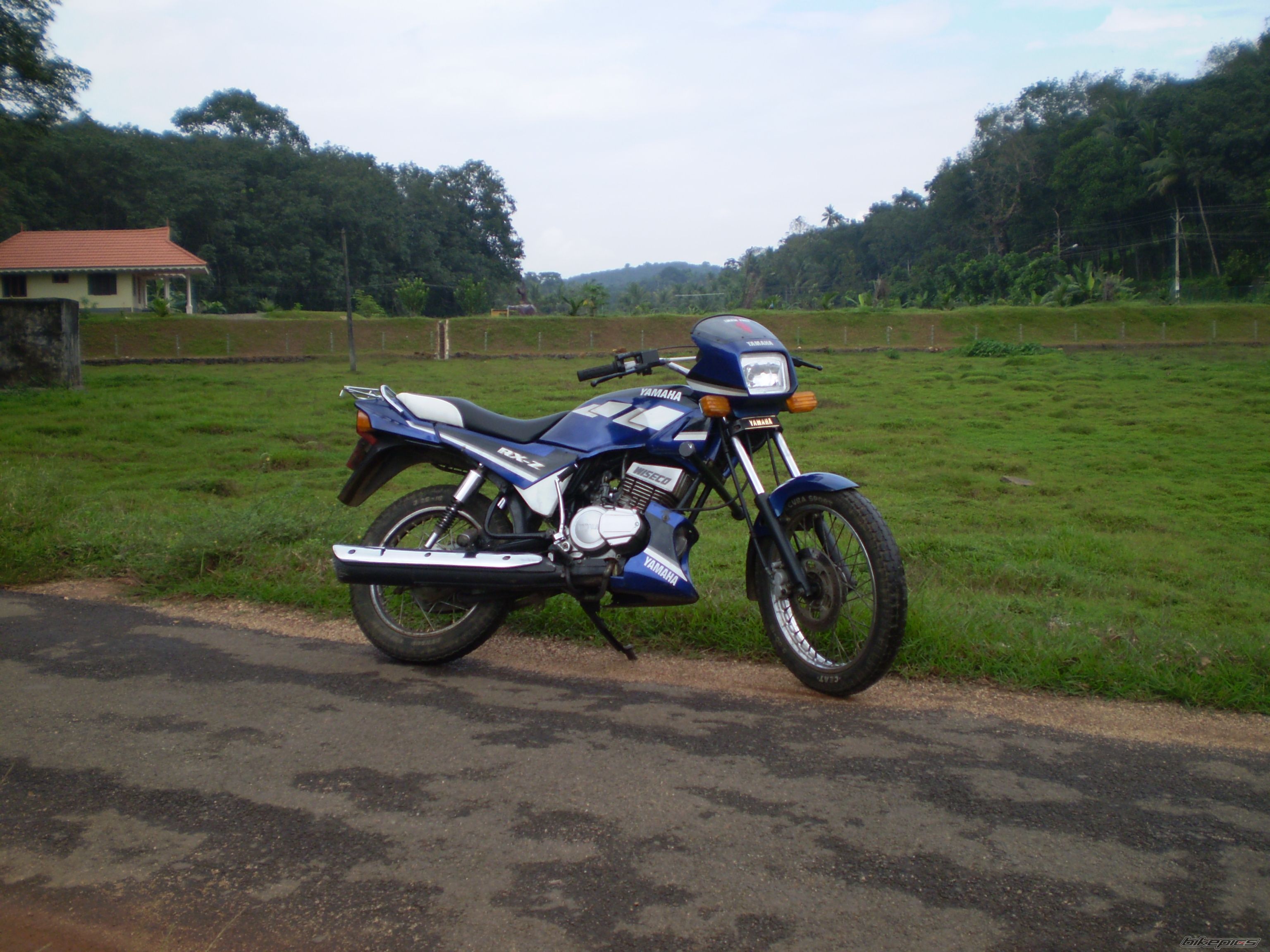 Photo 1494436