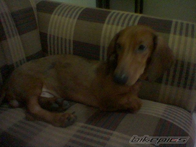 Photo 1494448