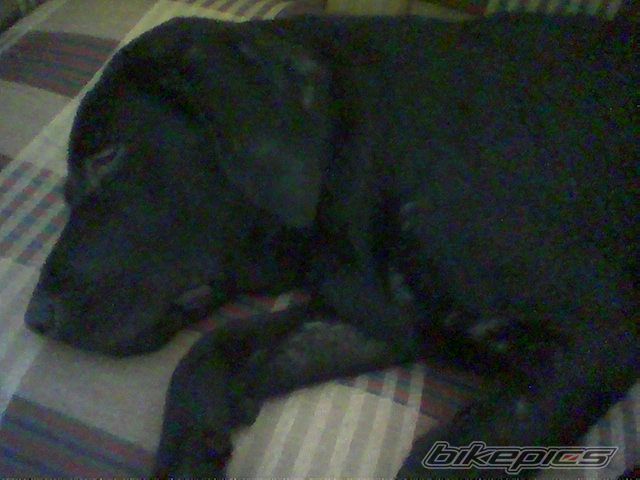 Photo 1494449