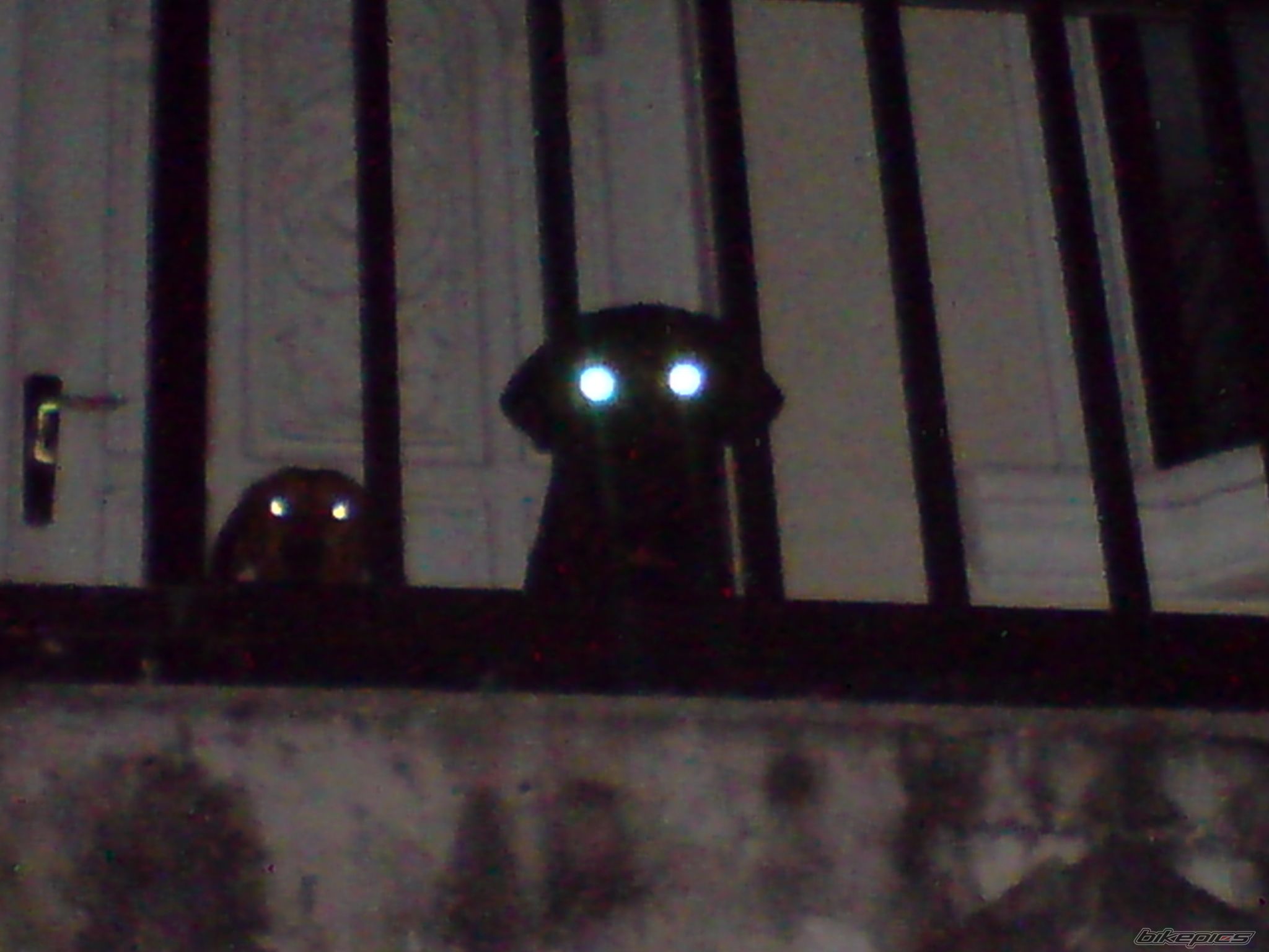 Photo 1494450