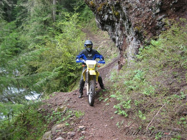 Photo 1494524