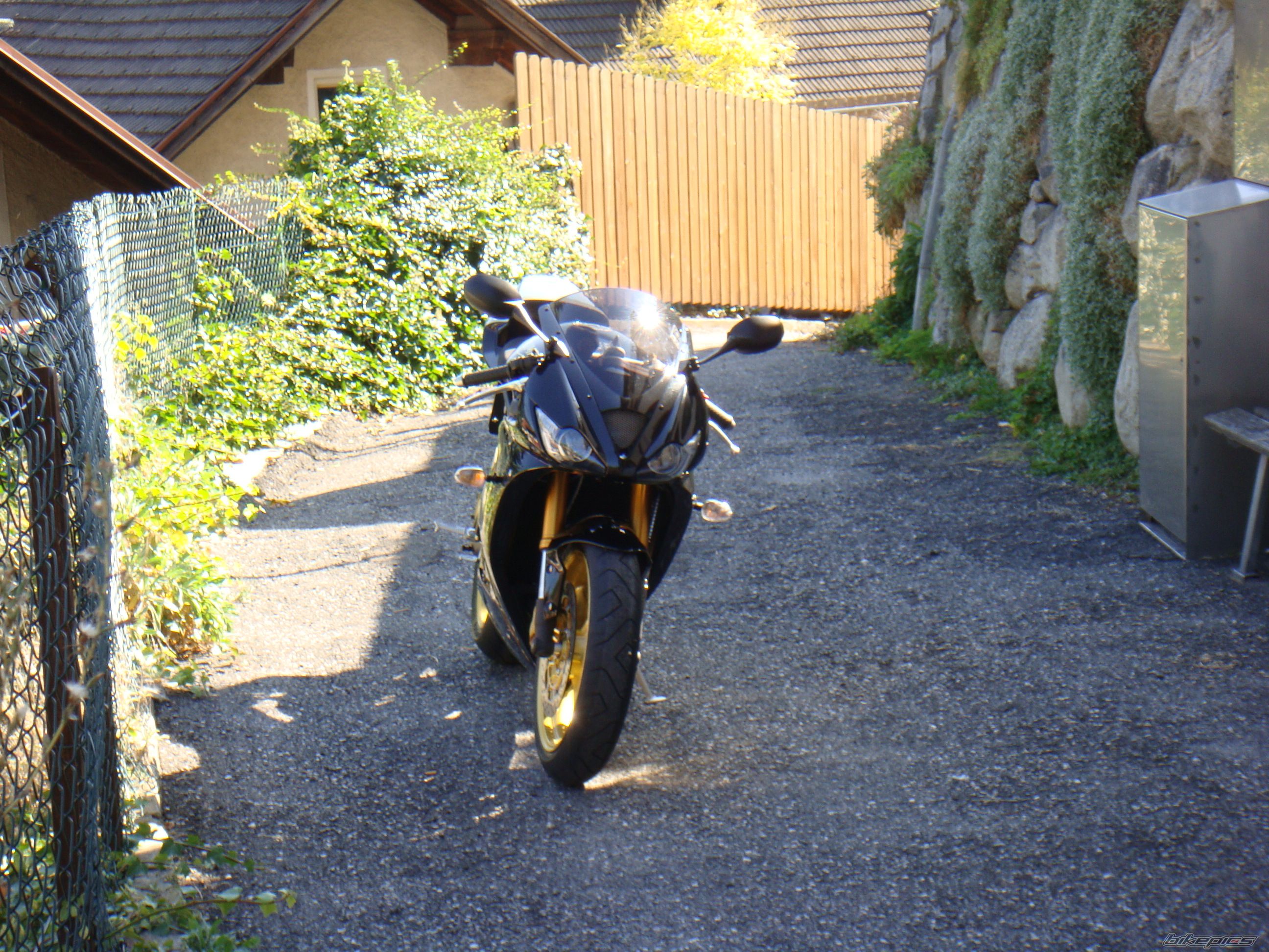 Photo 1494559