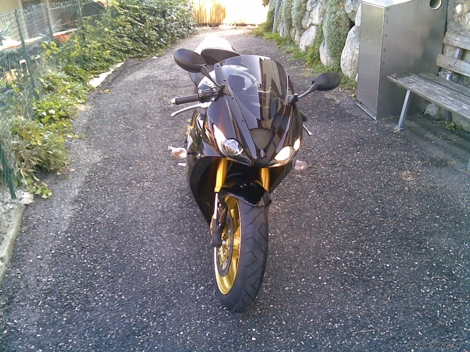 Photo 1494562