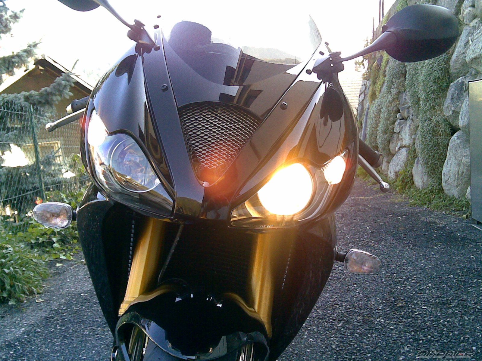 Photo 1494566