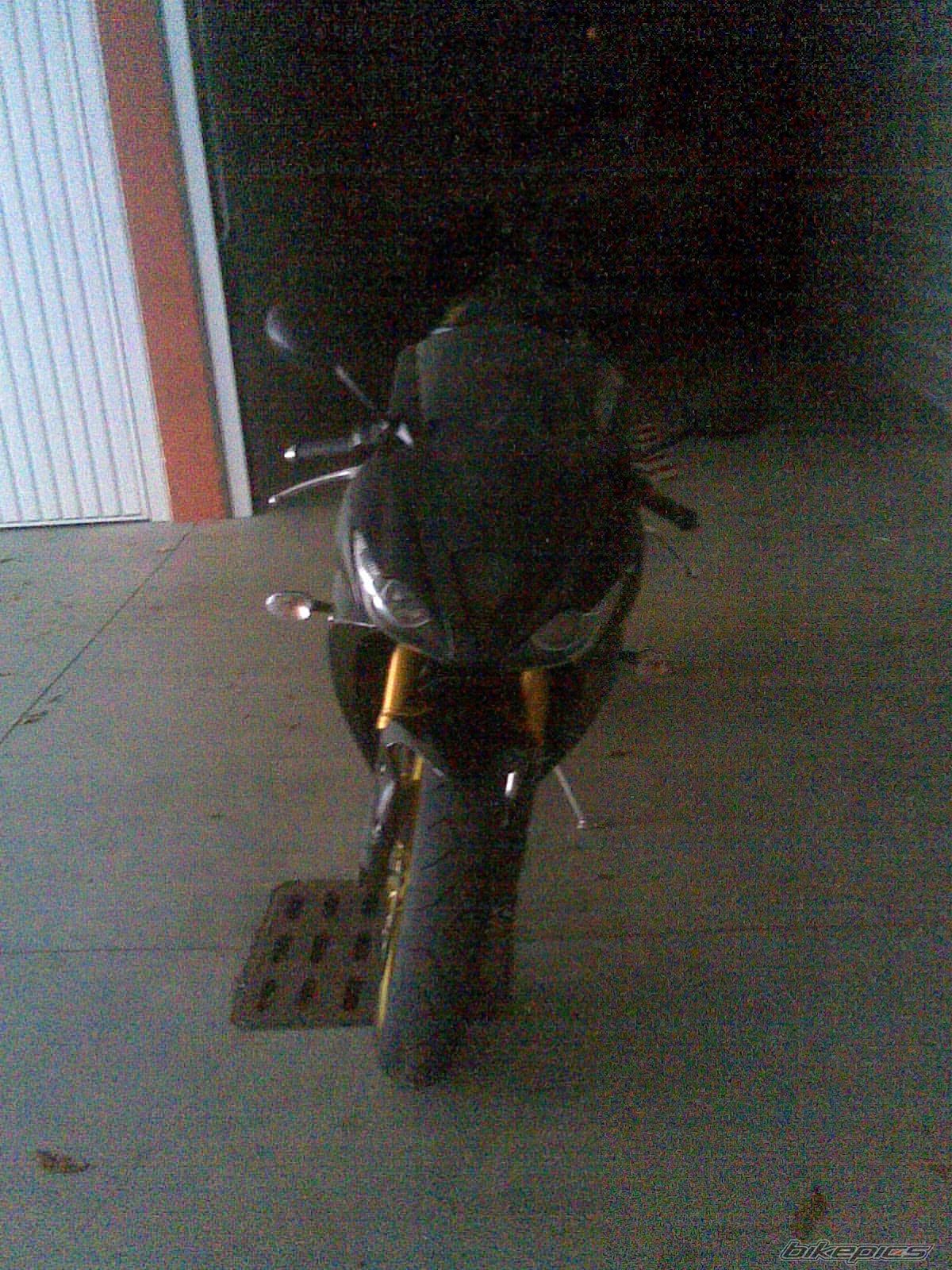 Photo 1494567