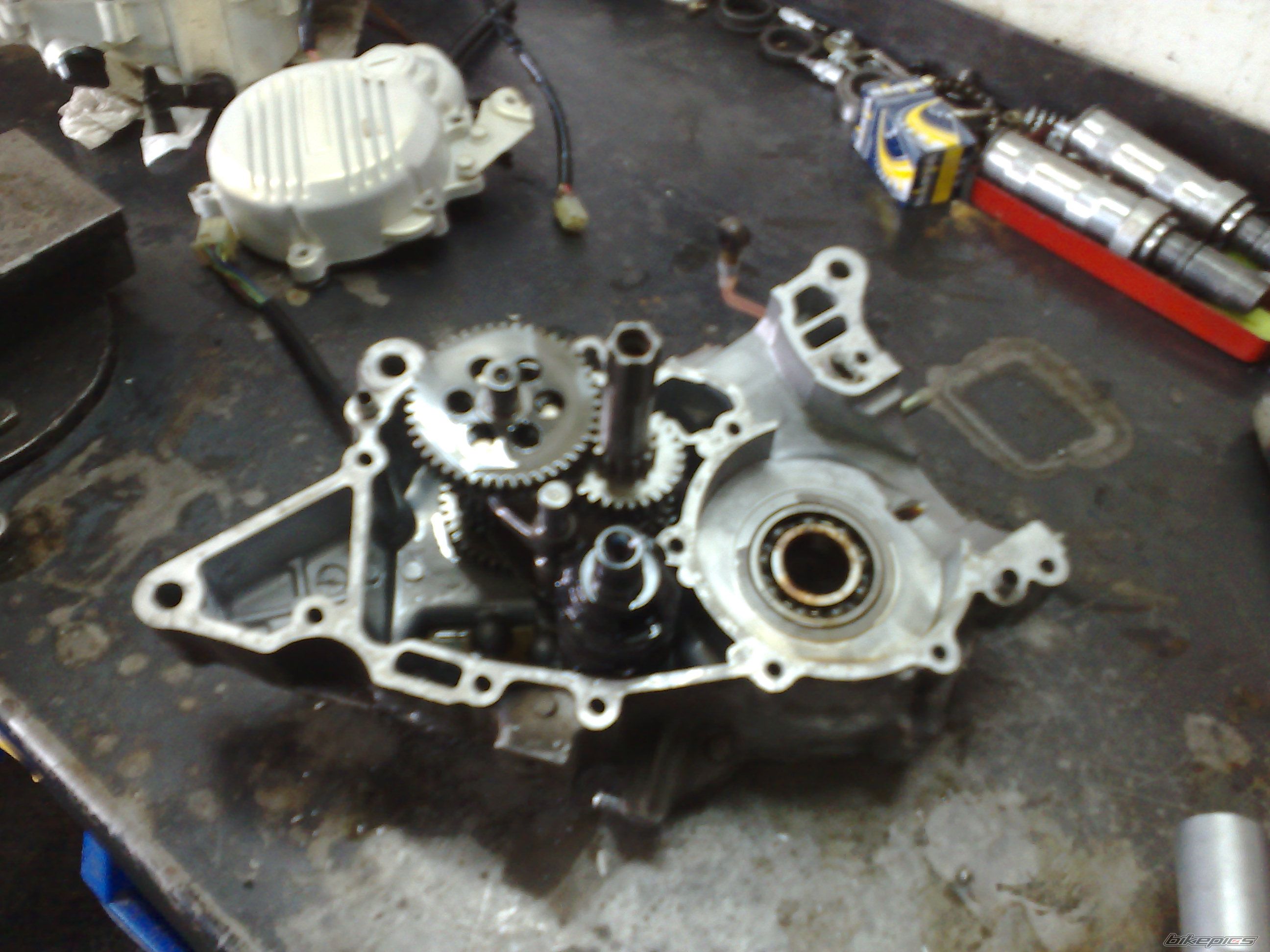Photo 1494622