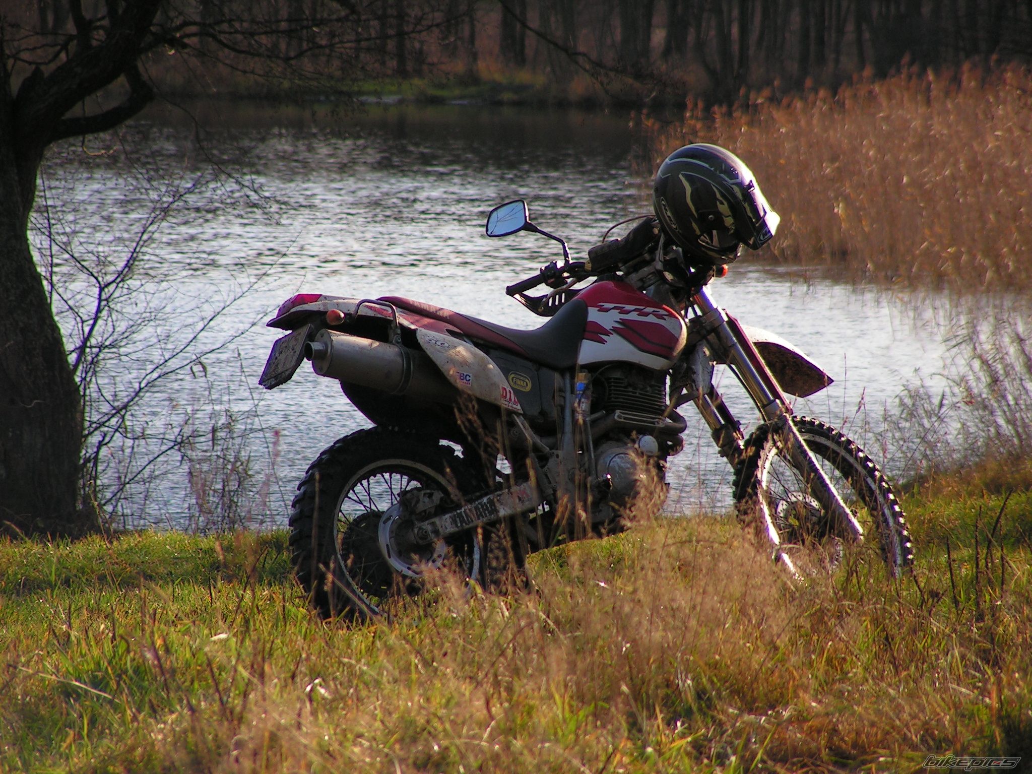 Photo 1494630