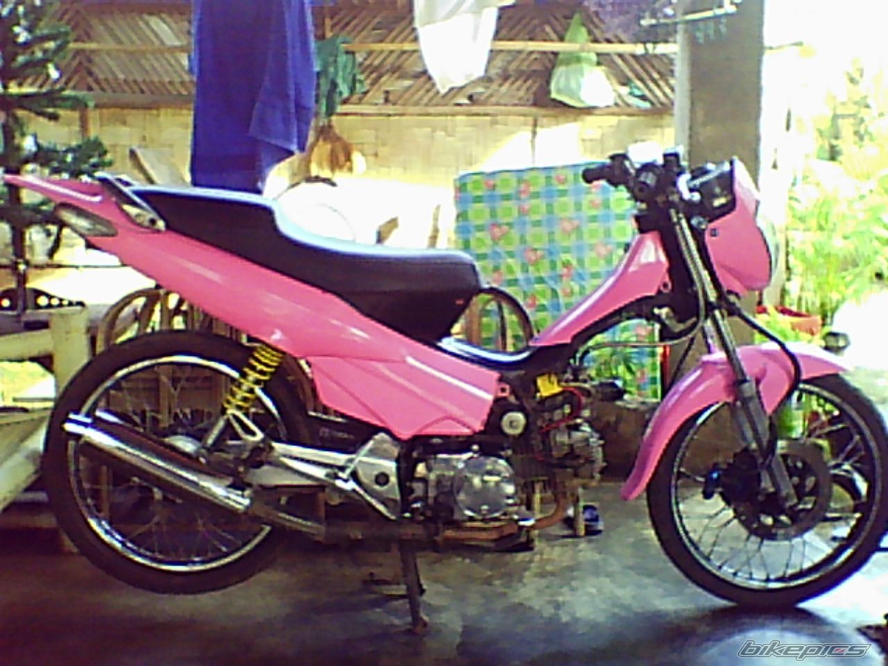 Photo 1494633