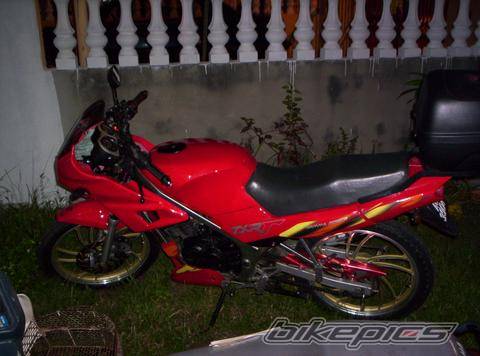 Photo 149486