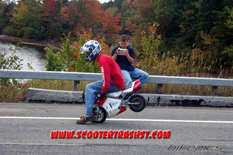 Photo 14949