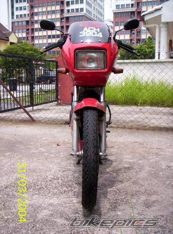 Photo 149490