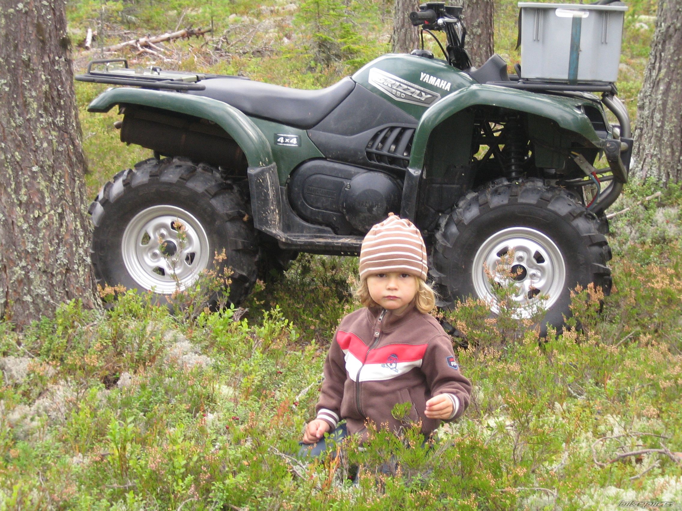 Photo 1495009