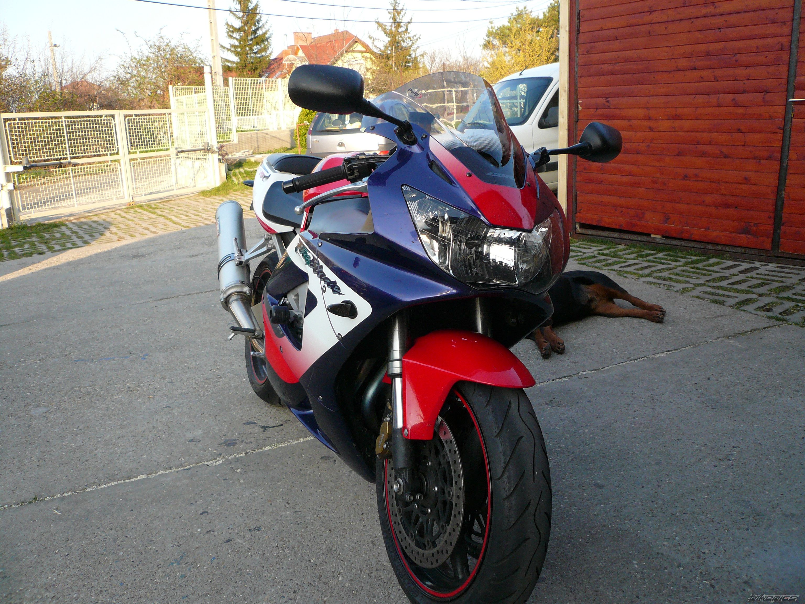 Photo 1495068