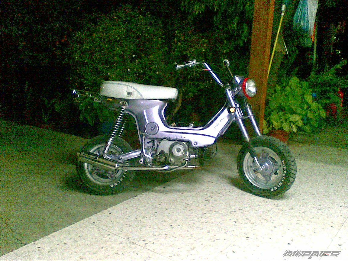 Photo 1495294