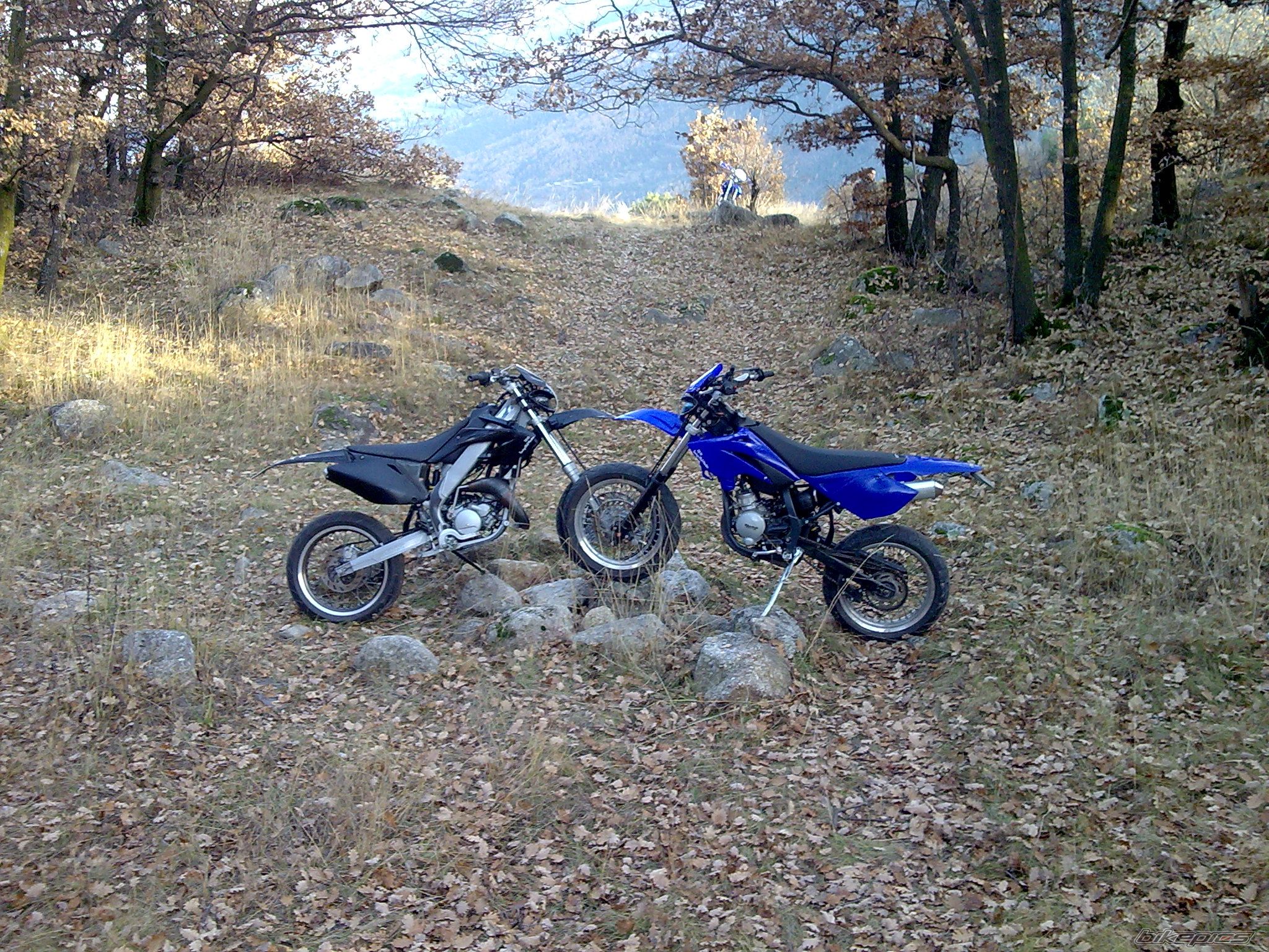 Photo 1495471