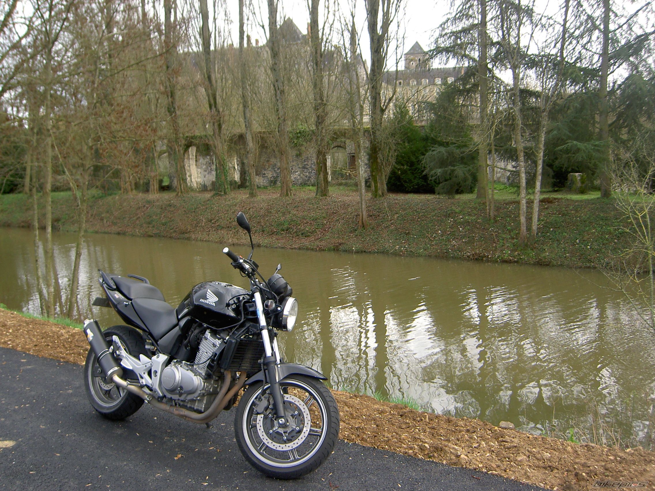 Photo 1495516