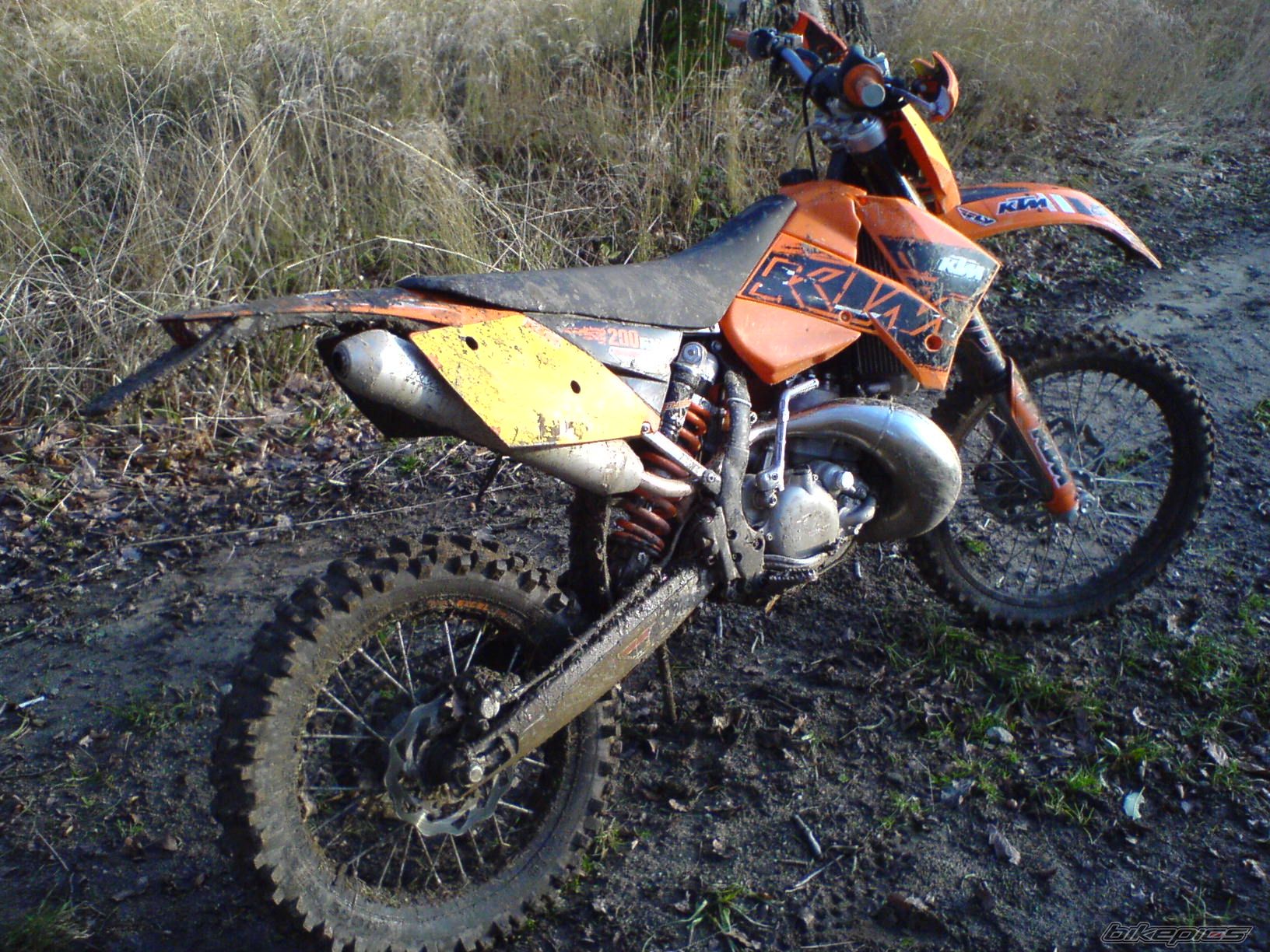 Photo 1495593