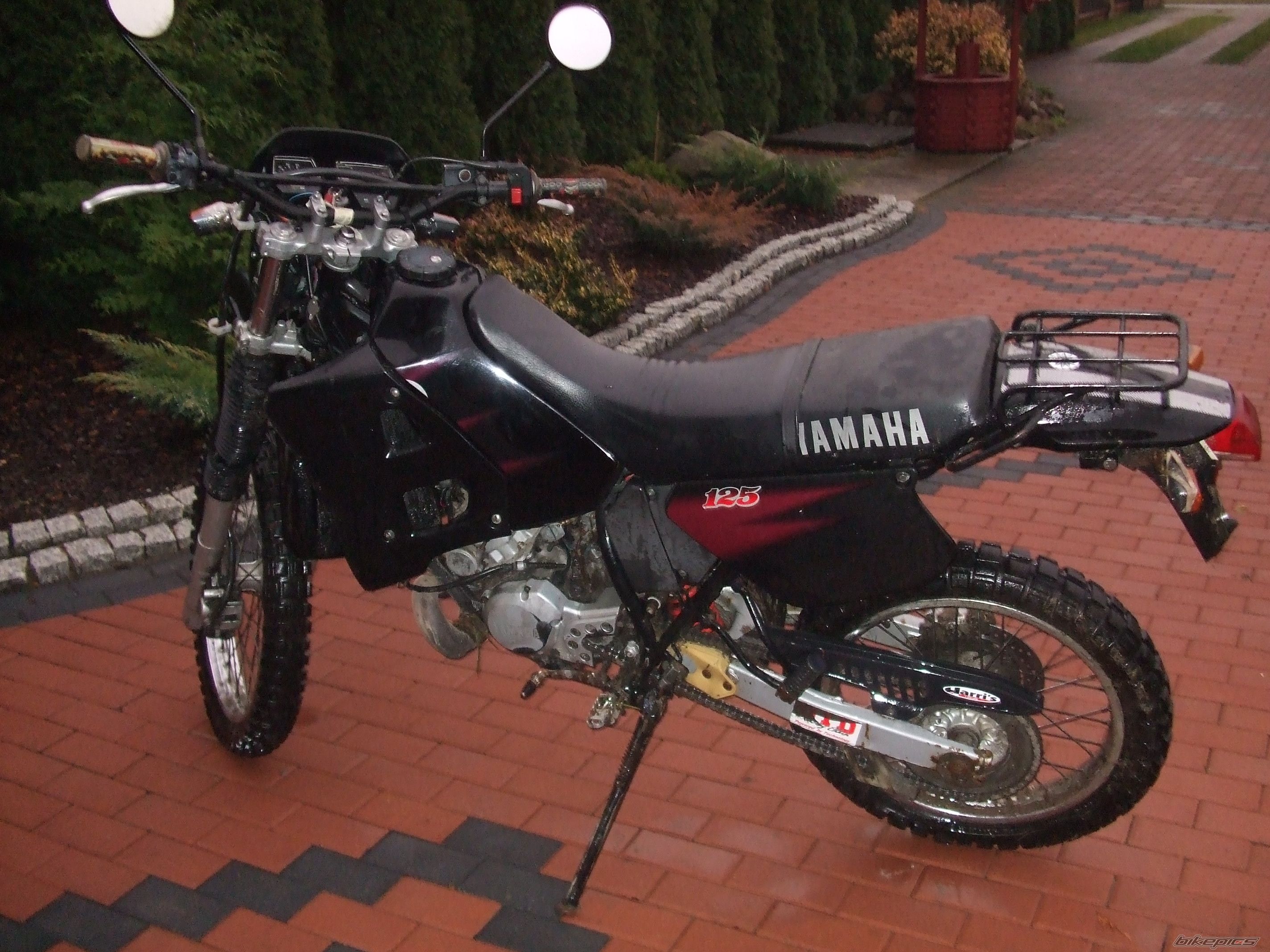 Photo 1495634