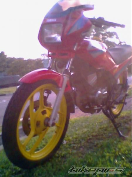Photo 1495657