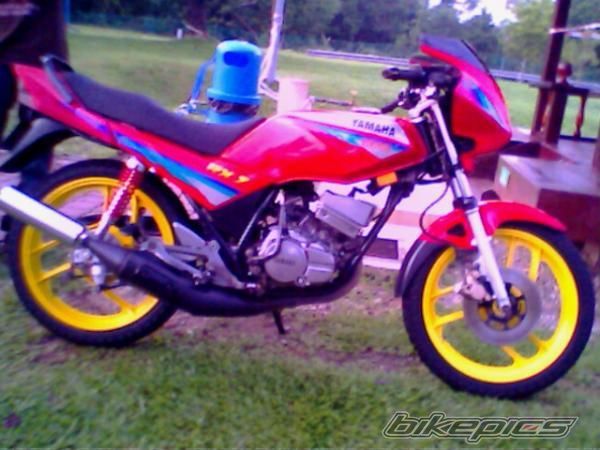 Photo 1495660