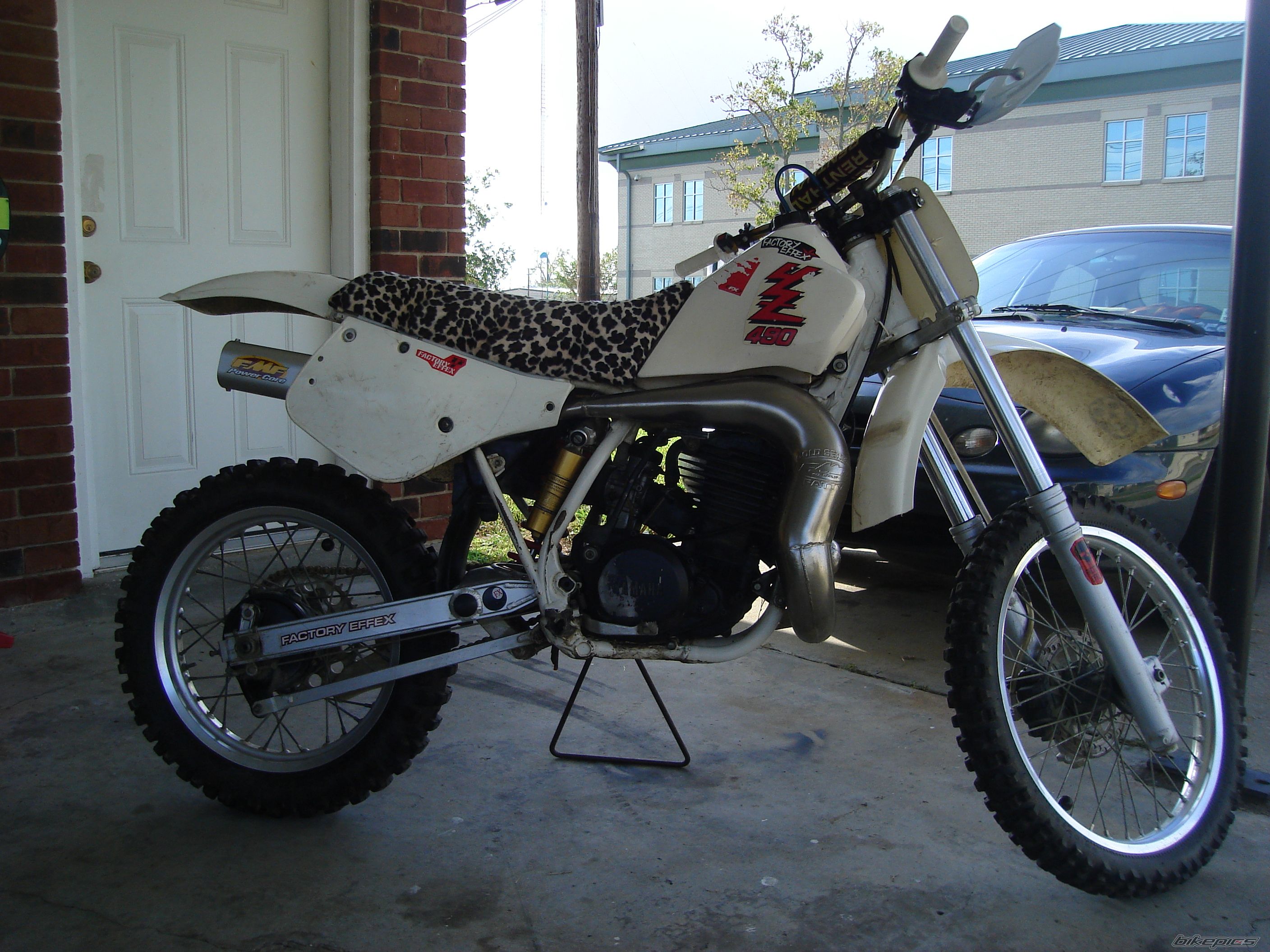 Photo 1495691