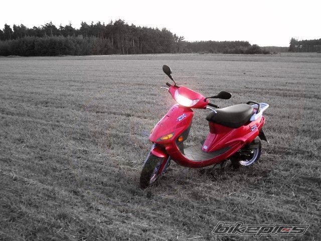 Photo 1495730