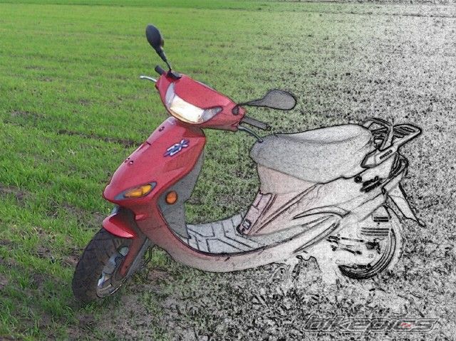 Photo 1495732